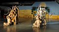 Lionking 0550